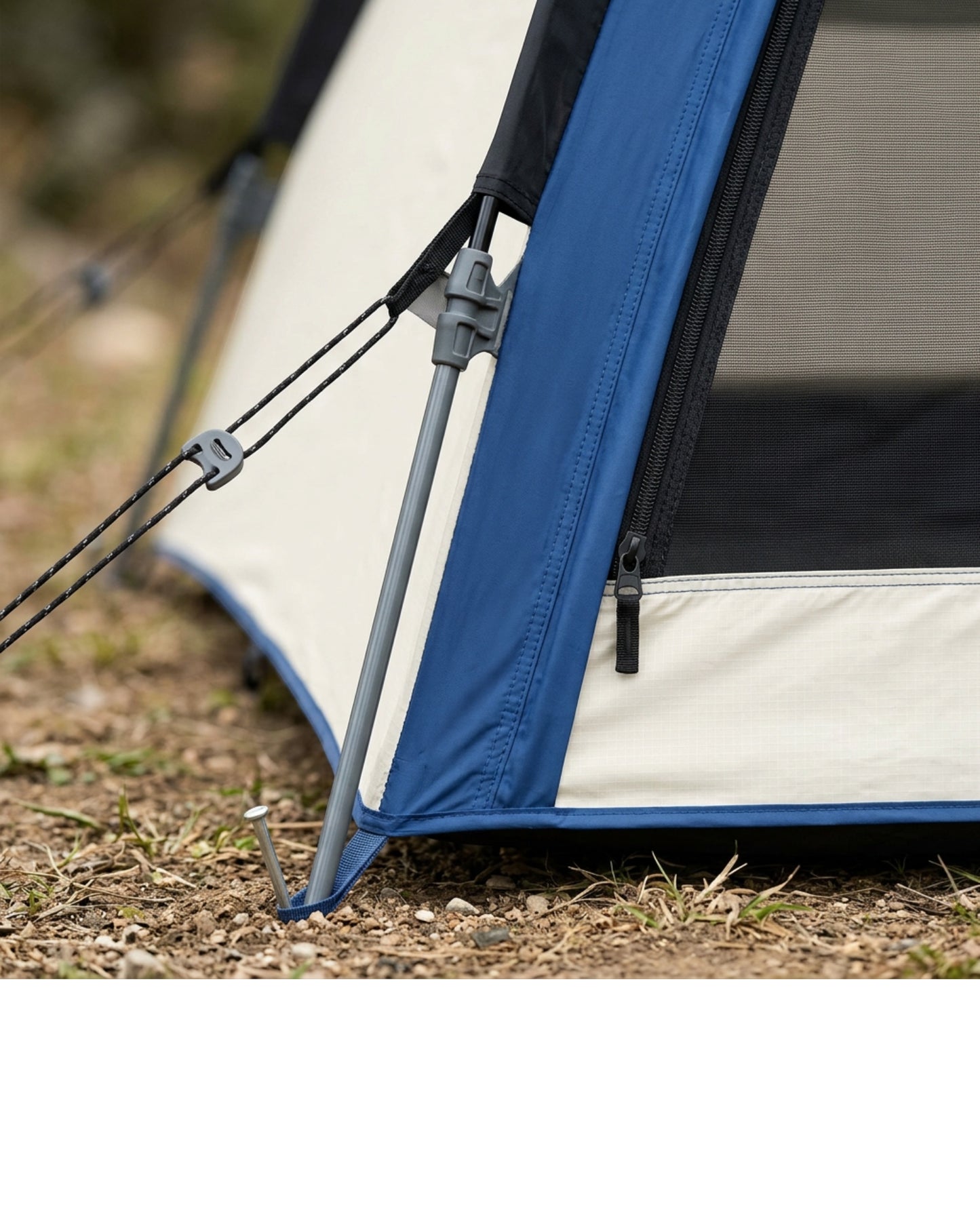 Wareo 4-Person Cabin Camping Tent 240 x 210 cm Cobalt and Ivory - Detail view